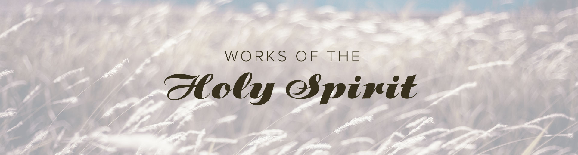 the-works-of-the-holy-spirit-pt-2-teacher-he-will-guide-you-into-all